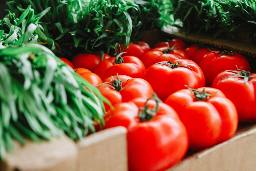 como armazenar tomate corretamente